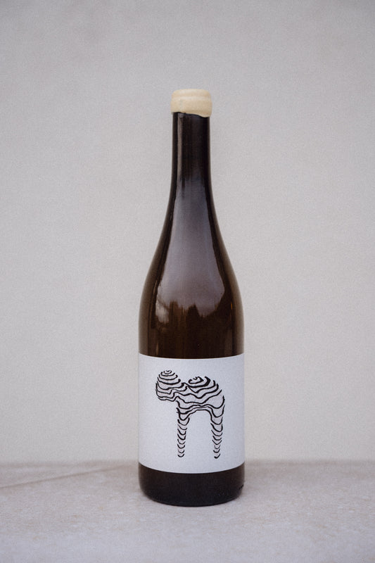 LEAVING HERE FOR SOMEWHERE NEW 2023