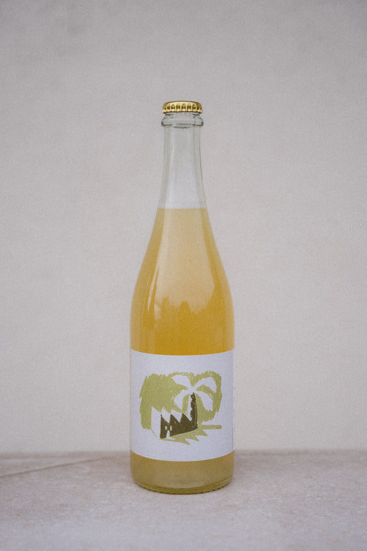 THE LATEST POPULAR CRAZE 2024