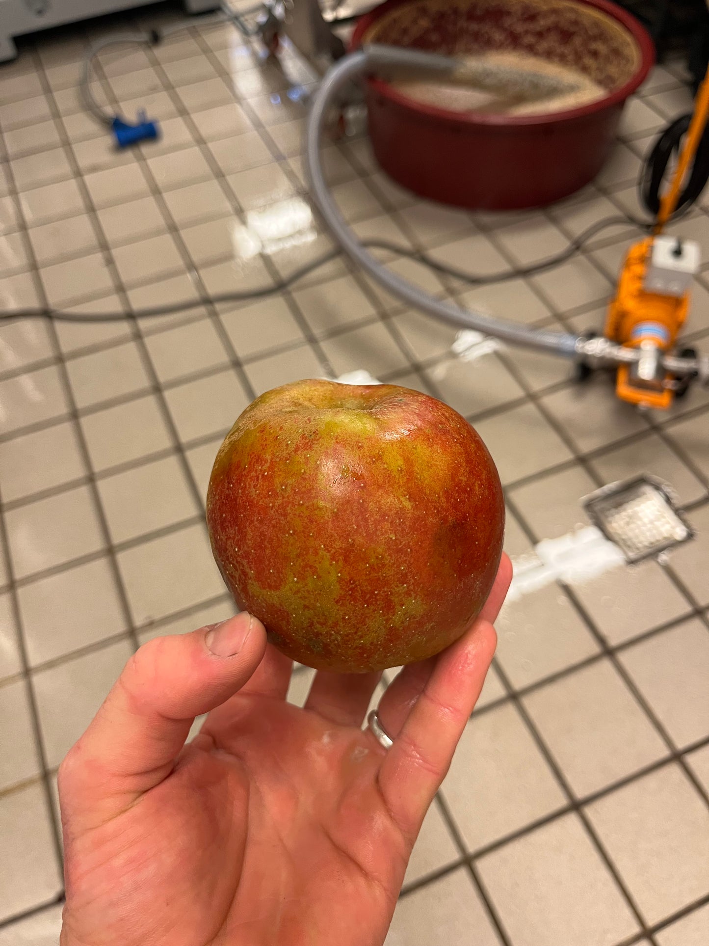 TASTING THE 30TH OF DECEMBER