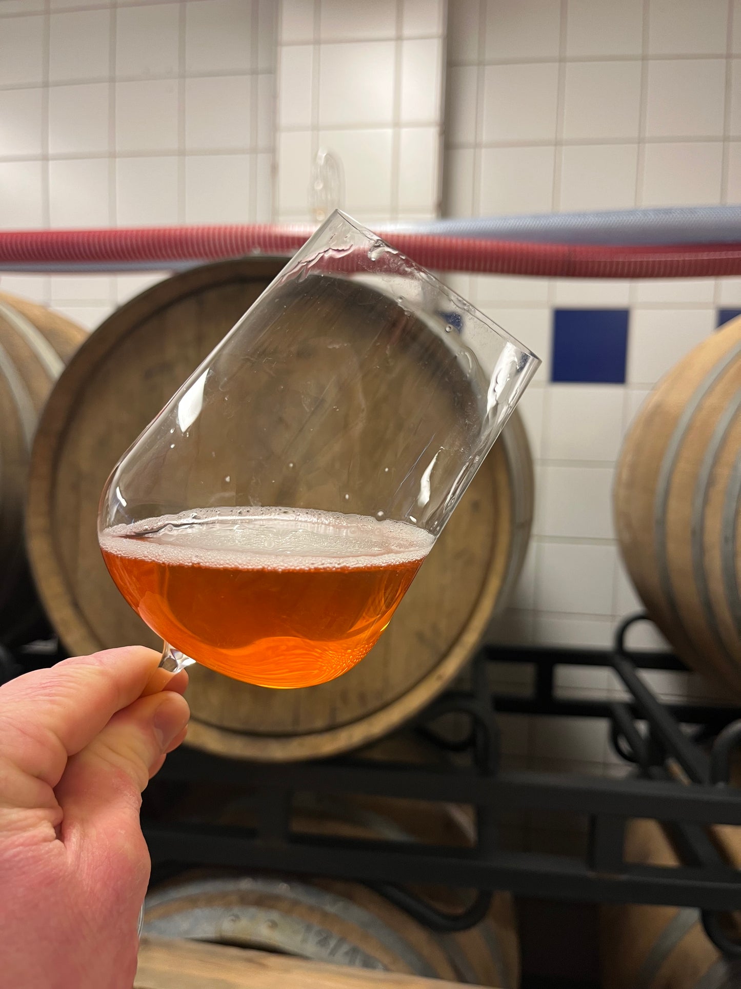 TASTING THE 30TH OF DECEMBER