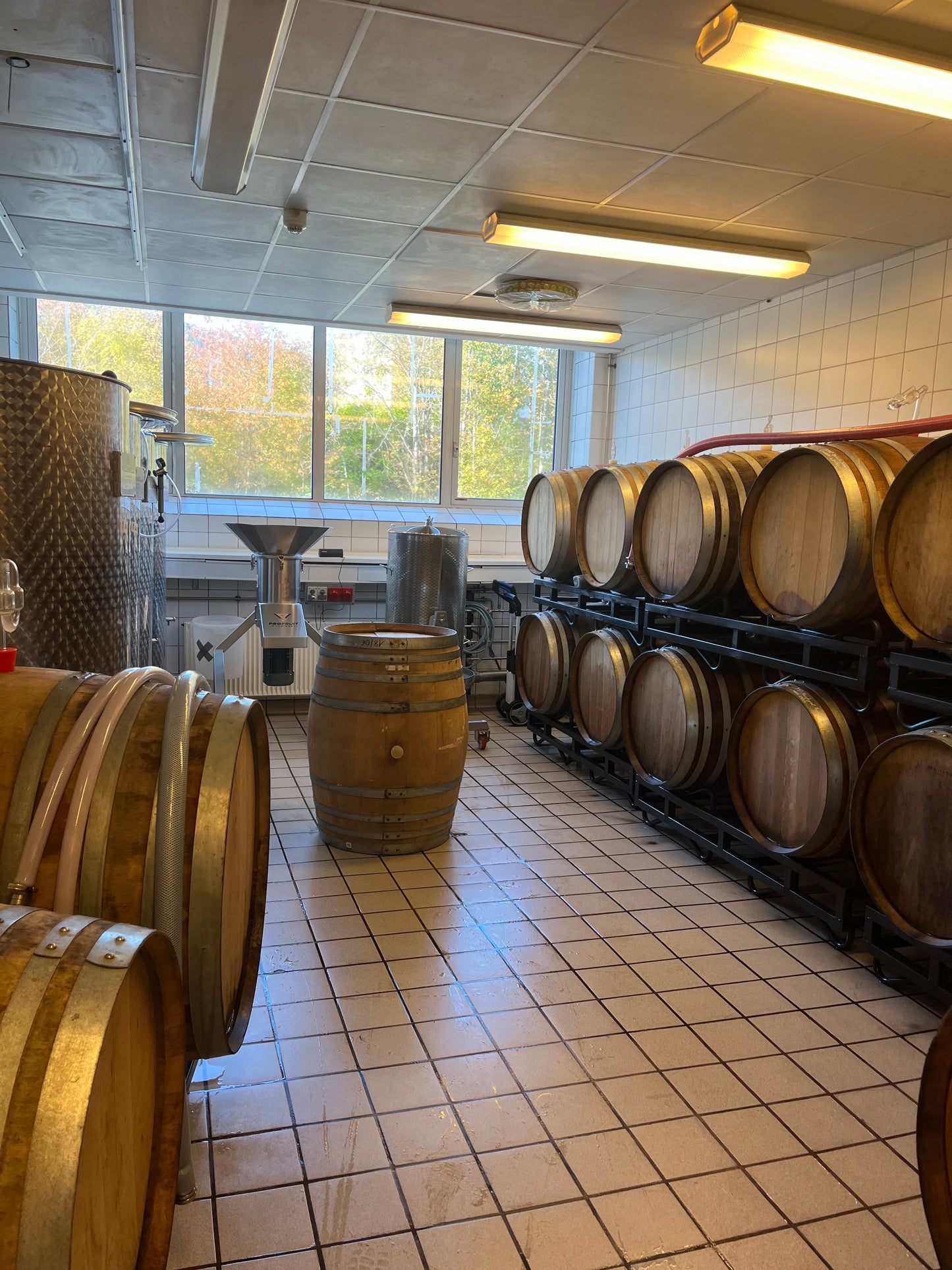 TASTING THE 30TH OF DECEMBER